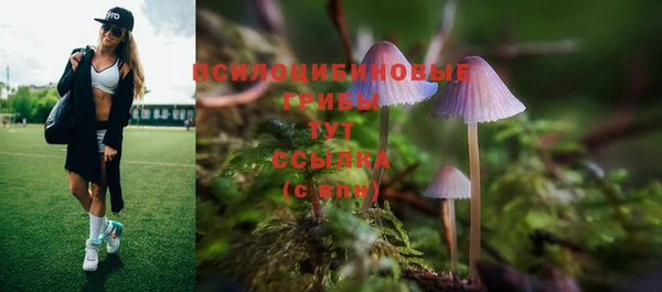 круглые Арсеньев