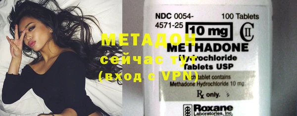 шишки Аркадак