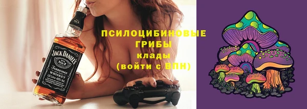 шишки Аркадак