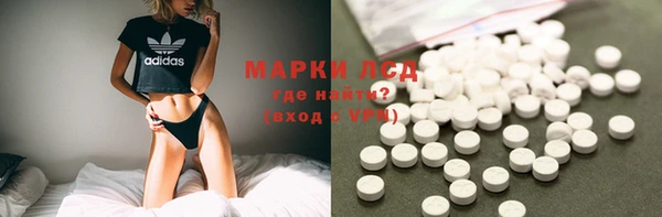 шишки Аркадак
