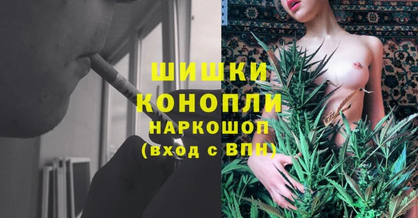 шишки Аркадак