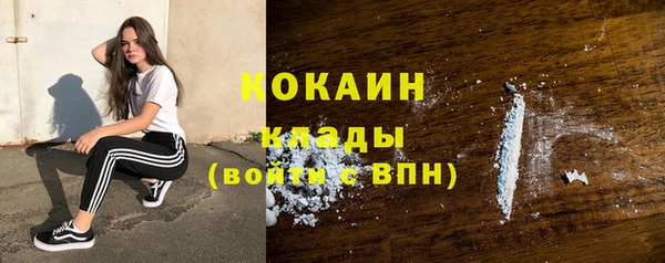 шишки Аркадак