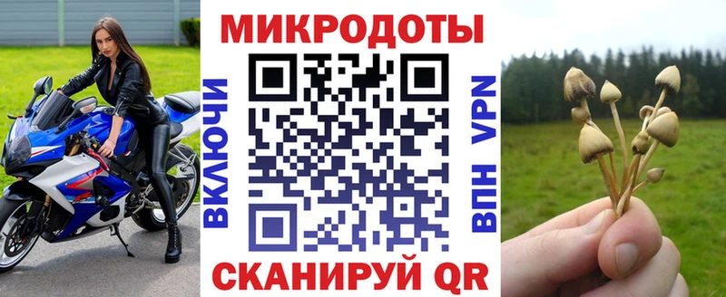 Псилоцибиновые грибы Cubensis  Калуга 